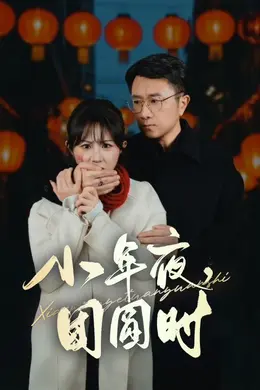 小年夜团圆时（ 小年夜万家灯火没有我）