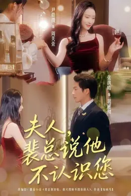夫人裴总说他不认识您