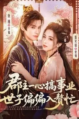 郡主一心搞事业，世子偏偏入赘忙