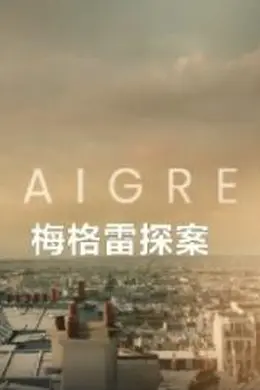 梅格雷探案2025