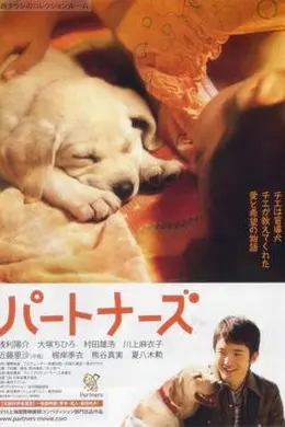 陪伴